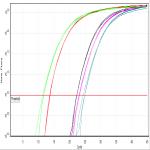 Real-Time PCR