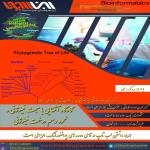 کارگاه آشنایی با مبحث فیلوژنی