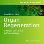 organ regenration